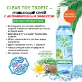 Очищающий спрей для игрушек CLEAR TOY Tropic - 100 мл. - Биоритм - купить с доставкой в Комсомольске-на-Амуре