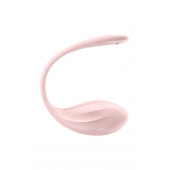 Розовое виброяйцо Ribbed Petal с пультом ДУ - Satisfyer в Комсомольске-на-Амуре Розовое виброяйцо Ribbed Petal с пультом ДУ - Satisfyer