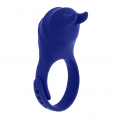 Синее эрекционное виброкольцо с клиторальной подушечкой и пультом ДУ Adjustable Fun Ring - Zero Tolerance - в Комсомольске-на-Амуре купить с доставкой