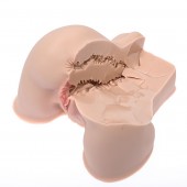 Мастурбатор-полуторс Naked Factory Kate - Naked Factory - в Комсомольске-на-Амуре купить с доставкой