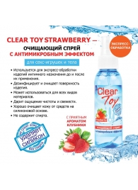 Очищающий спрей для игрушек CLEAR TOY Strawberry - 100 мл. - Биоритм - купить с доставкой в Комсомольске-на-Амуре