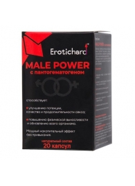 Капсулы для мужчин Erotichard male power с пантогематогеном - 20 капсул (0,370 гр.) - Erotic Hard - купить с доставкой в Комсомольске-на-Амуре