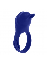 Синее эрекционное виброкольцо с клиторальной подушечкой и пультом ДУ Adjustable Fun Ring - Zero Tolerance - в Комсомольске-на-Амуре купить с доставкой