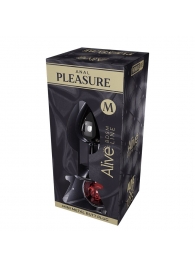 Серебристая анальная втулка Mini Metal Butt Plug Size M с красным кристаллом - Adrien Lastic в Комсомольске-на-Амуре Серебристая анальная втулка Mini Metal Butt Plug Size M с красным кристаллом - Adrien Lastic