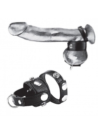 Утяжка для мошонки и пениса Cock Ring With 1  Ball Stretcher And Optional Weight Ring - BlueLine - купить с доставкой в Комсомольске-на-Амуре