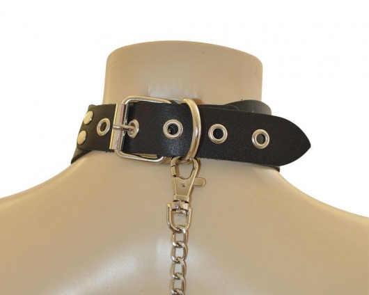 Ошейник  Веселый Роджер - Sitabella - купить с доставкой в Комсомольске-на-Амуре