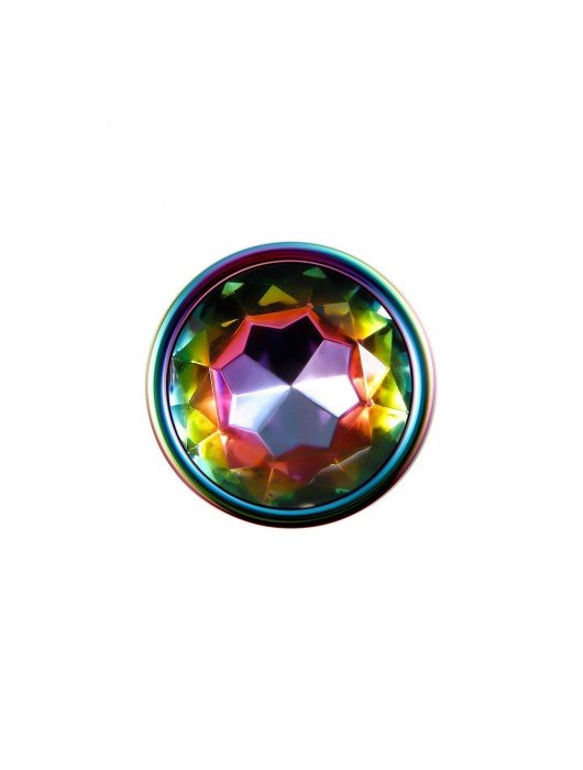 Радужная металлическая пробка Rainbow Metal Plug Large - 12,9 см. - Evolved