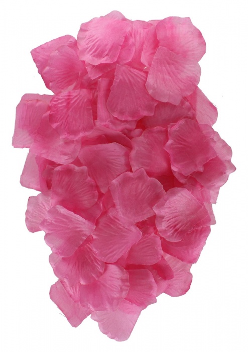 Эротический набор FANTASTIC PURPLE SEX TOY KIT - Toy Joy - купить с доставкой в Комсомольске-на-Амуре