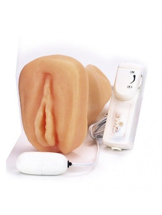 Мастурбатор-вагина с вибрацией ELLY POCKET PAL VAGINA MULTISPEED - NMC - в Комсомольске-на-Амуре купить с доставкой