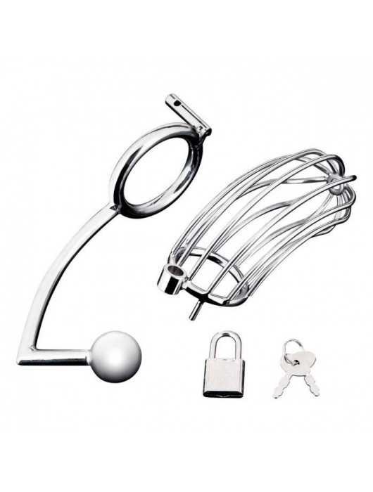 Серебристая металлическая клетка с анальным стимулятором Cock Cage - BlueLine - купить с доставкой в Комсомольске-на-Амуре