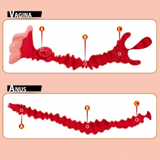 Мастурбатор-полуторс Adel с двумя любовными отверстиями - KOKOS - в Комсомольске-на-Амуре купить с доставкой