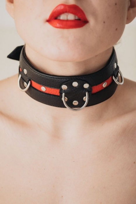 Черно-красный ошейник на пряжке - БДСМ Арсенал - купить с доставкой в Комсомольске-на-Амуре