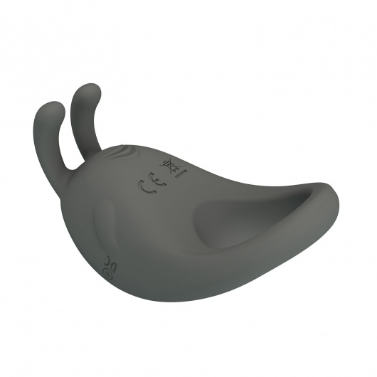 Серое эрекционное кольцо с вибрацией Master Ring - Baile - в Комсомольске-на-Амуре купить с доставкой