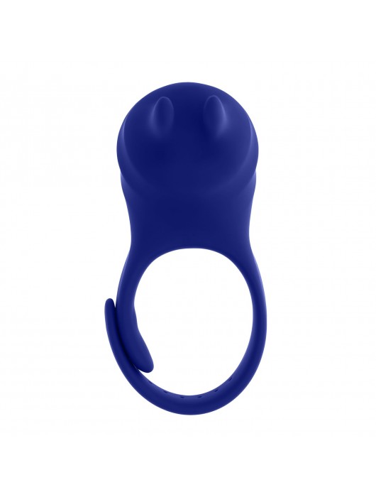 Синее эрекционное виброкольцо с клиторальной подушечкой и пультом ДУ Adjustable Fun Ring - Zero Tolerance - в Комсомольске-на-Амуре купить с доставкой