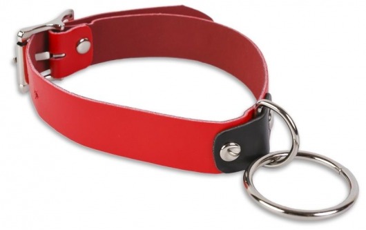 Красный ошейник с колечком - Пикантные штучки - купить с доставкой в Комсомольске-на-Амуре