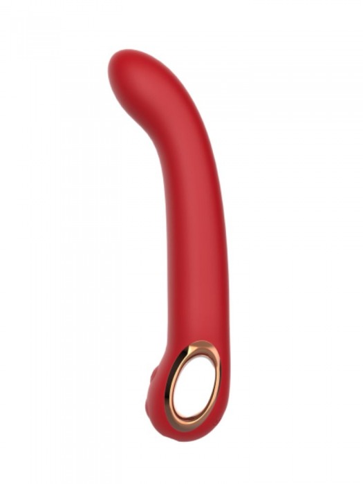Красный силиконовый вибратор с загнутым кончиком - 22,1 см. - Secwell купить в Комсомольске-на-Амуре с доставкой в Orgasmix.ru Красный силиконовый вибратор с загнутым кончиком - 22,1 см. - Secwell