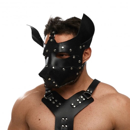Черная кожаная маска «Собака» - Crazy Handmade - купить с доставкой в Комсомольске-на-Амуре Черная кожаная маска «Собака» - Crazy Handmade - купить с доставкой в Комсомольске-на-Амуре