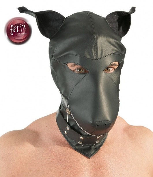 Шлем-маска Dog Mask в виде морды собаки - Orion - купить с доставкой в Комсомольске-на-Амуре