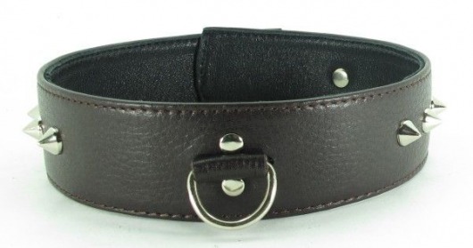 Коричневый кожаный ошейник с кольцом увеличенного размера - БДСМ Арсенал - купить с доставкой в Комсомольске-на-Амуре