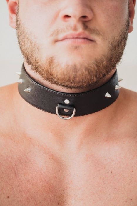 Коричневый кожаный ошейник с кольцом увеличенного размера - БДСМ Арсенал - купить с доставкой в Комсомольске-на-Амуре