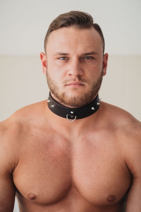 Коричневый кожаный ошейник с кольцом увеличенного размера - БДСМ Арсенал - купить с доставкой в Комсомольске-на-Амуре