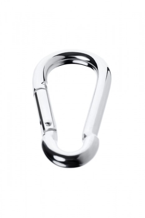 Серебристый карабин TOYFA Metal - ToyFa - купить с доставкой в Комсомольске-на-Амуре