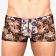 Мужские сетчатые боксеры с бежевыми розами Rose Boxer - Romeo Rossi купить с доставкой