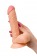 Телесный фаллоимитатор Lorn - 20 см. - ToyFa купить с доставкой в интернет-магазине Orgasmix в Комсомольске-на-Амуре Телесный фаллоимитатор Lorn - 20 см. - ToyFa